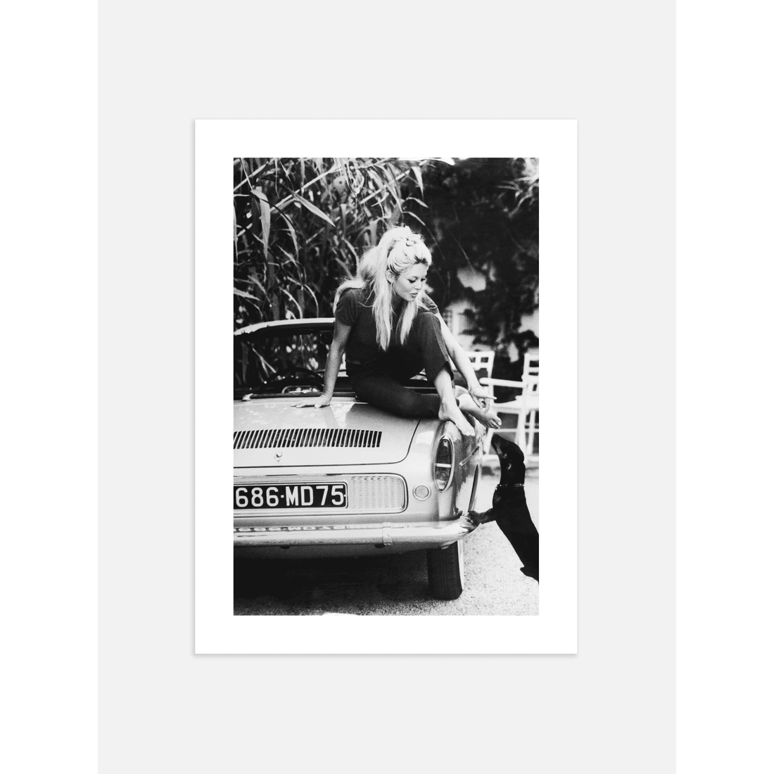 Brigitte Bardot Poster