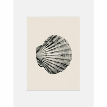 Beige Shell Poster