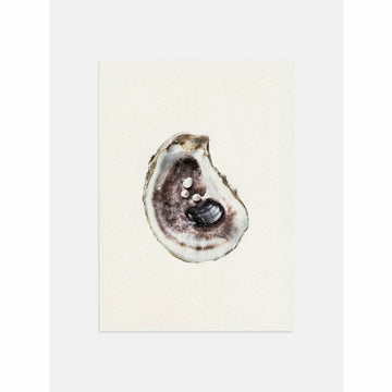 Empty Oyster Poster