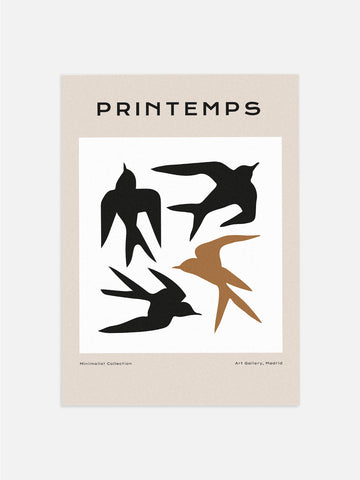 Black & Beige Birds