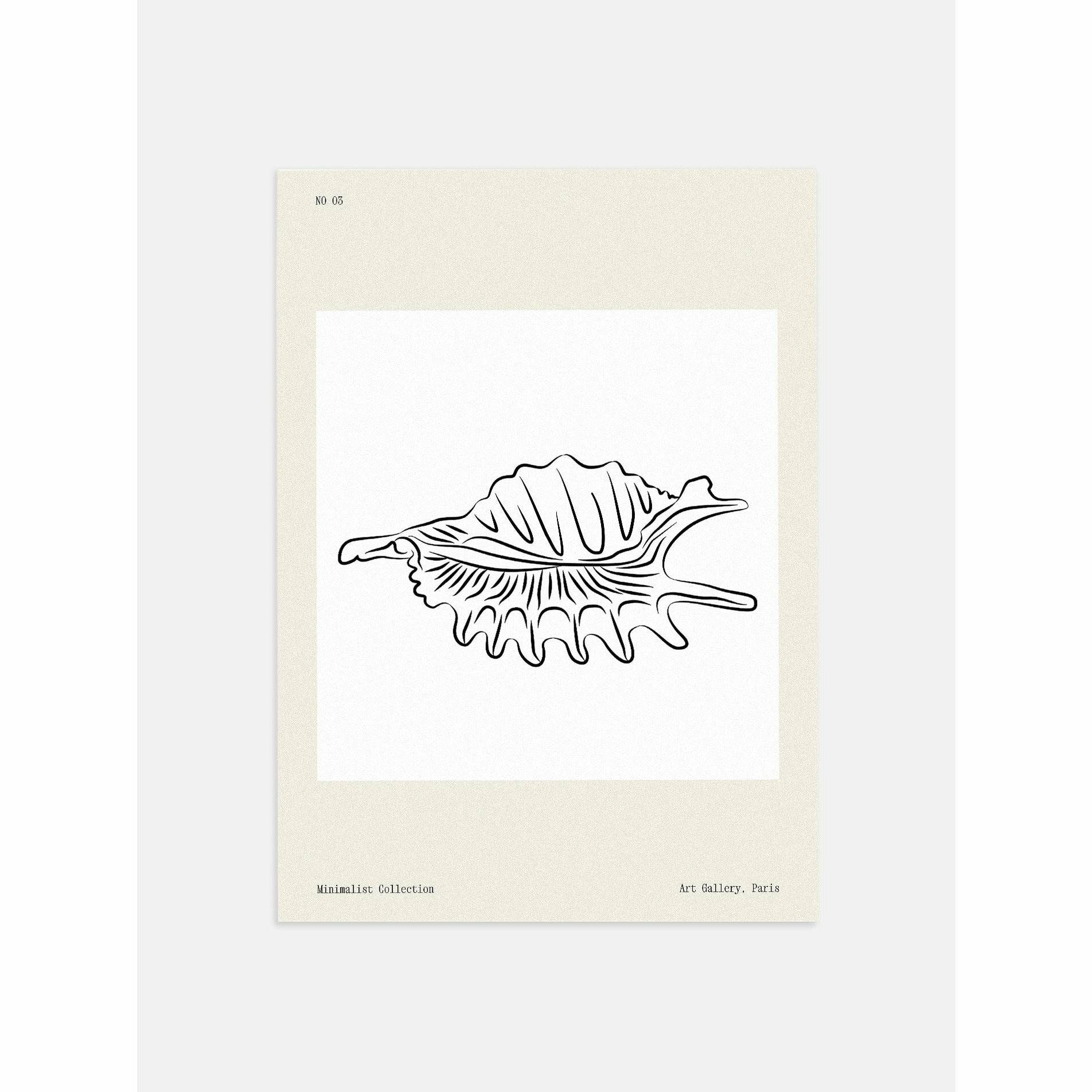 Seashell Line Drawing Poster