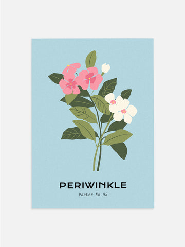 Periwinkle Bundle