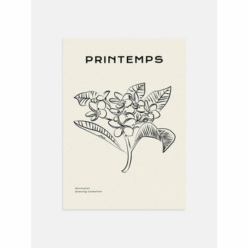 Plumeria Poster