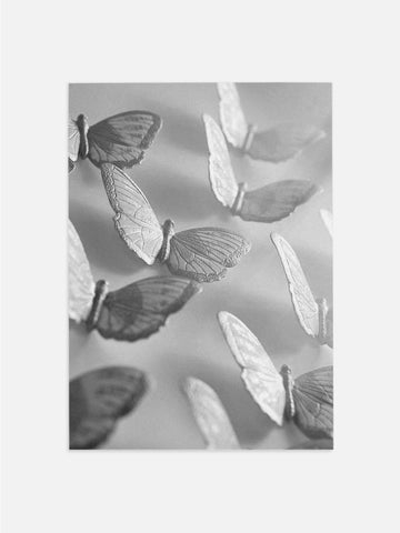 Black & White Butterflies