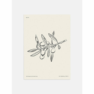 Olive Branch Berries Poster
