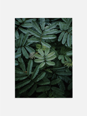 Leaf Wallpaper
