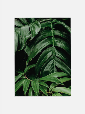 Tropical Leaves Photograph