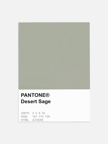 Pantone Desert Sage Poster