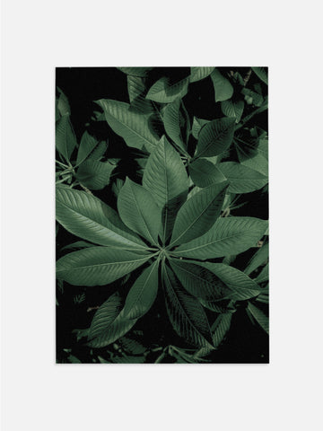 Moody Green Plants