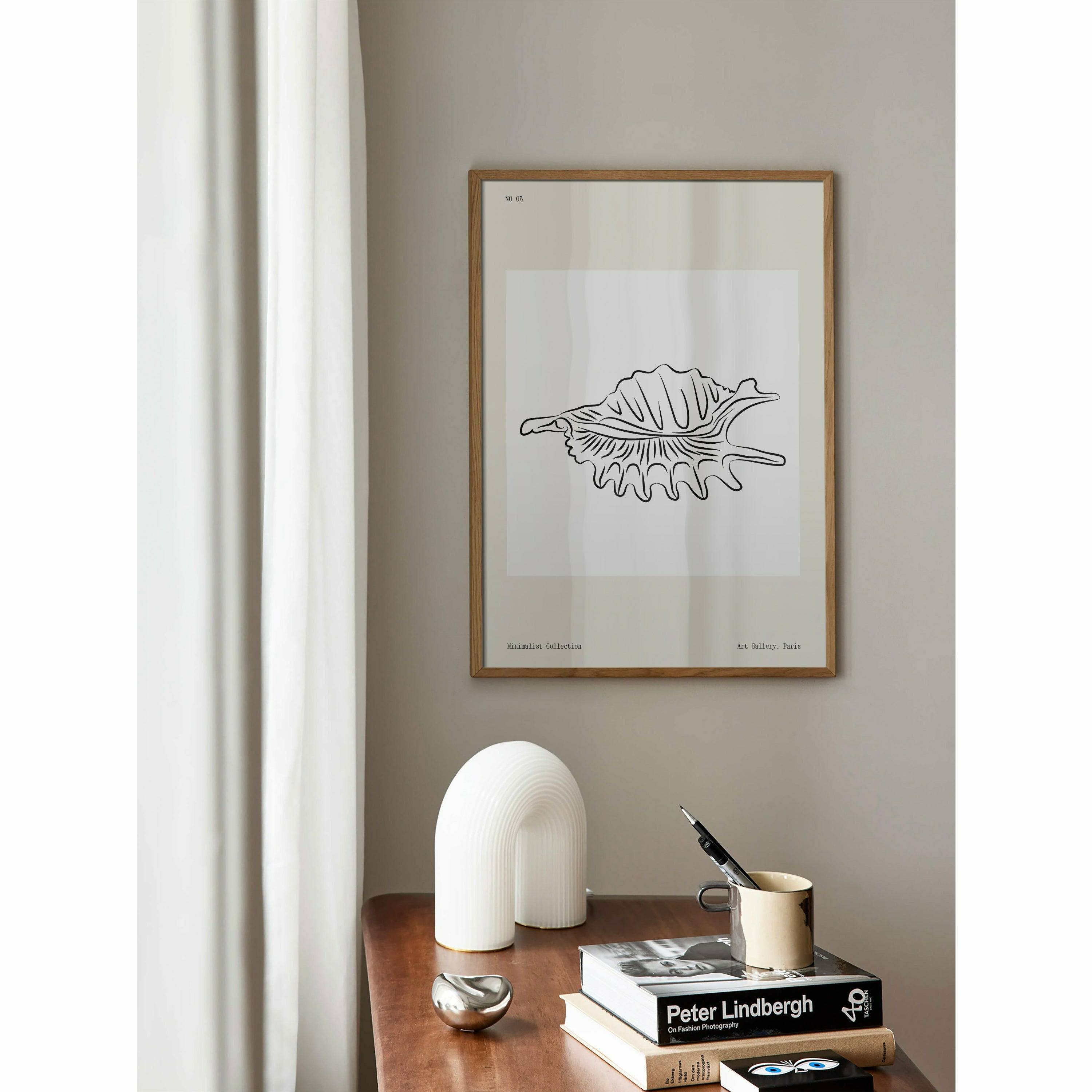 Seashell Line Drawing