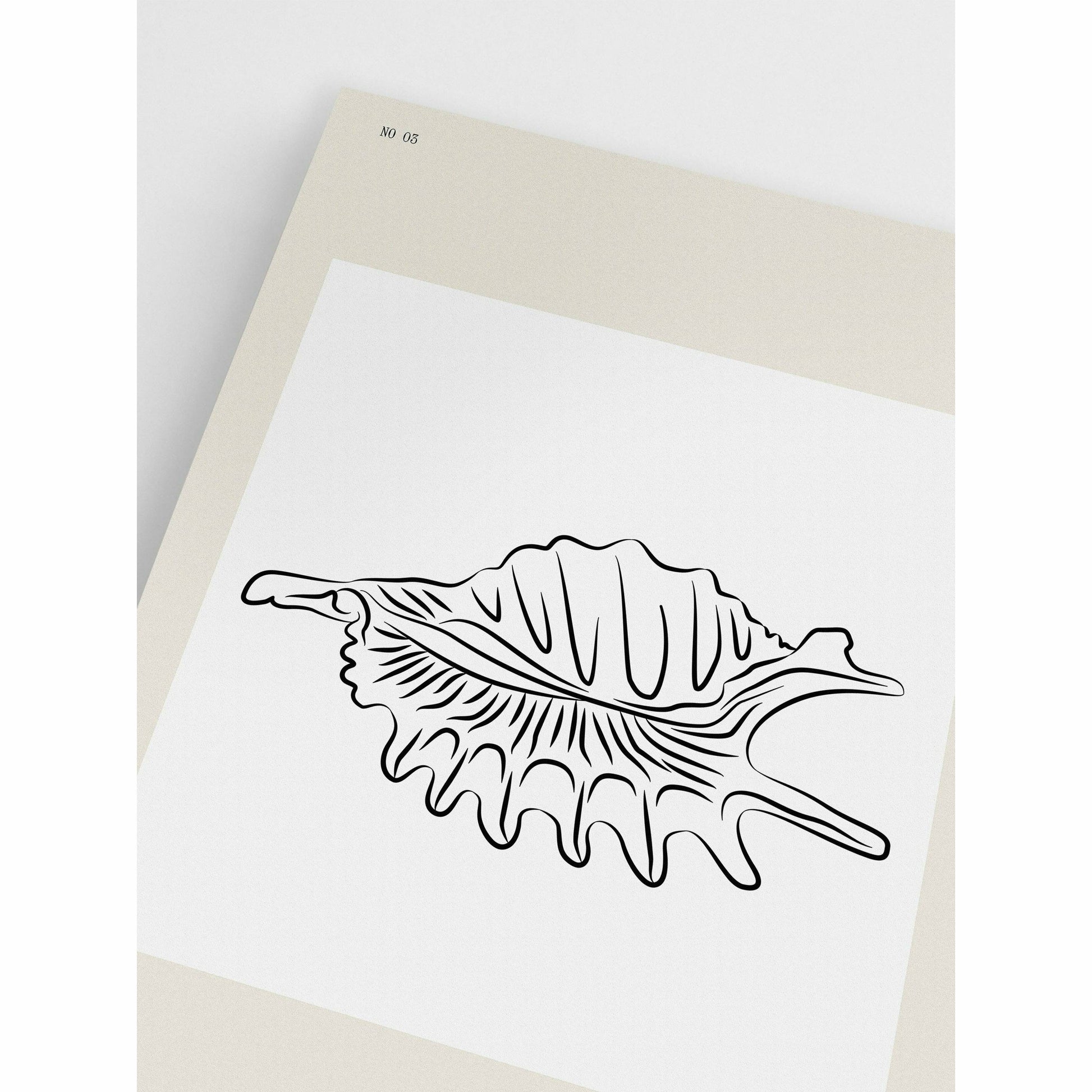Seashell Line Drawing
