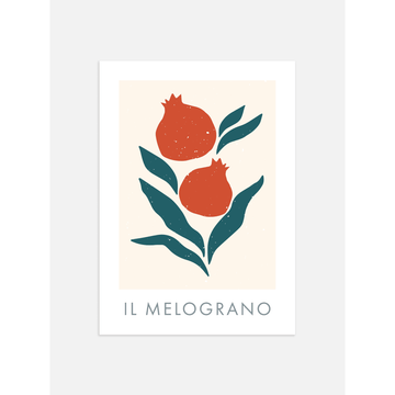 Il Melograno Pomegranate Poster