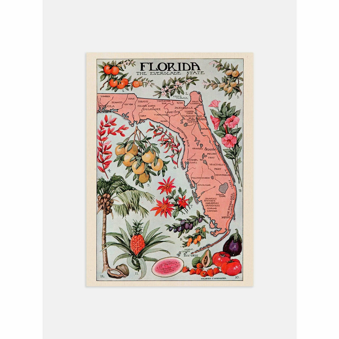 Vintage 1917 map of Florida showing natural resources and vegetation in antique style
