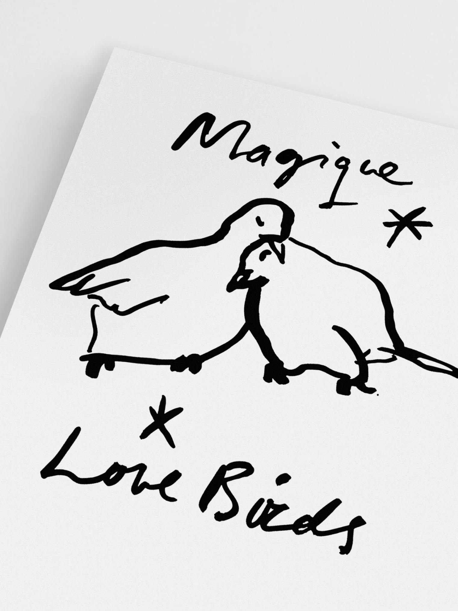 Love Birds Dove Picasso Poster
