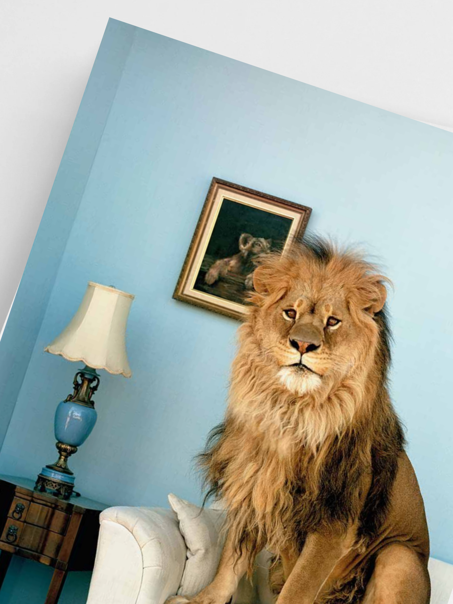 Cozy Lion Poster