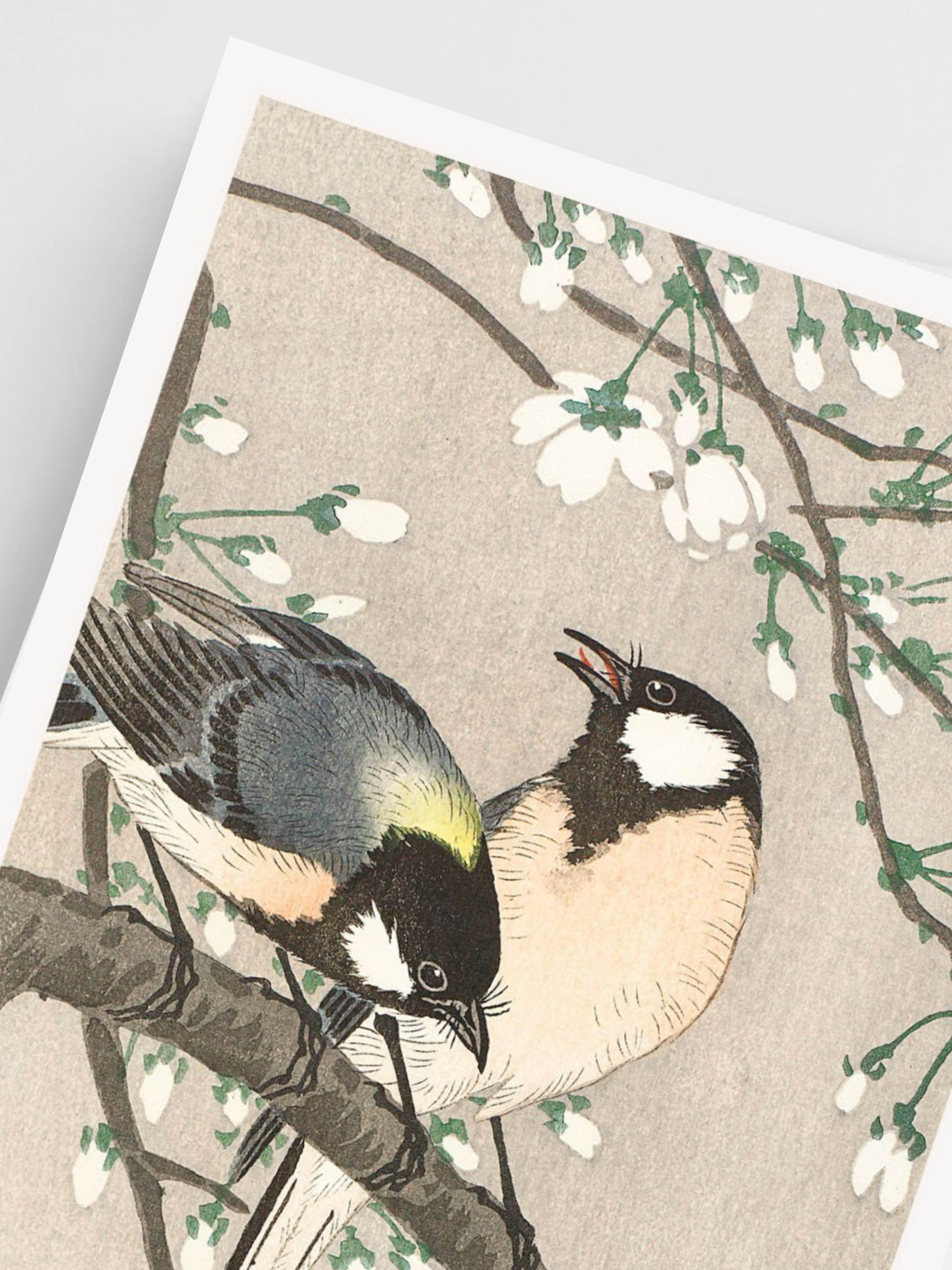 Japanese art print of cherry branch in soft colors