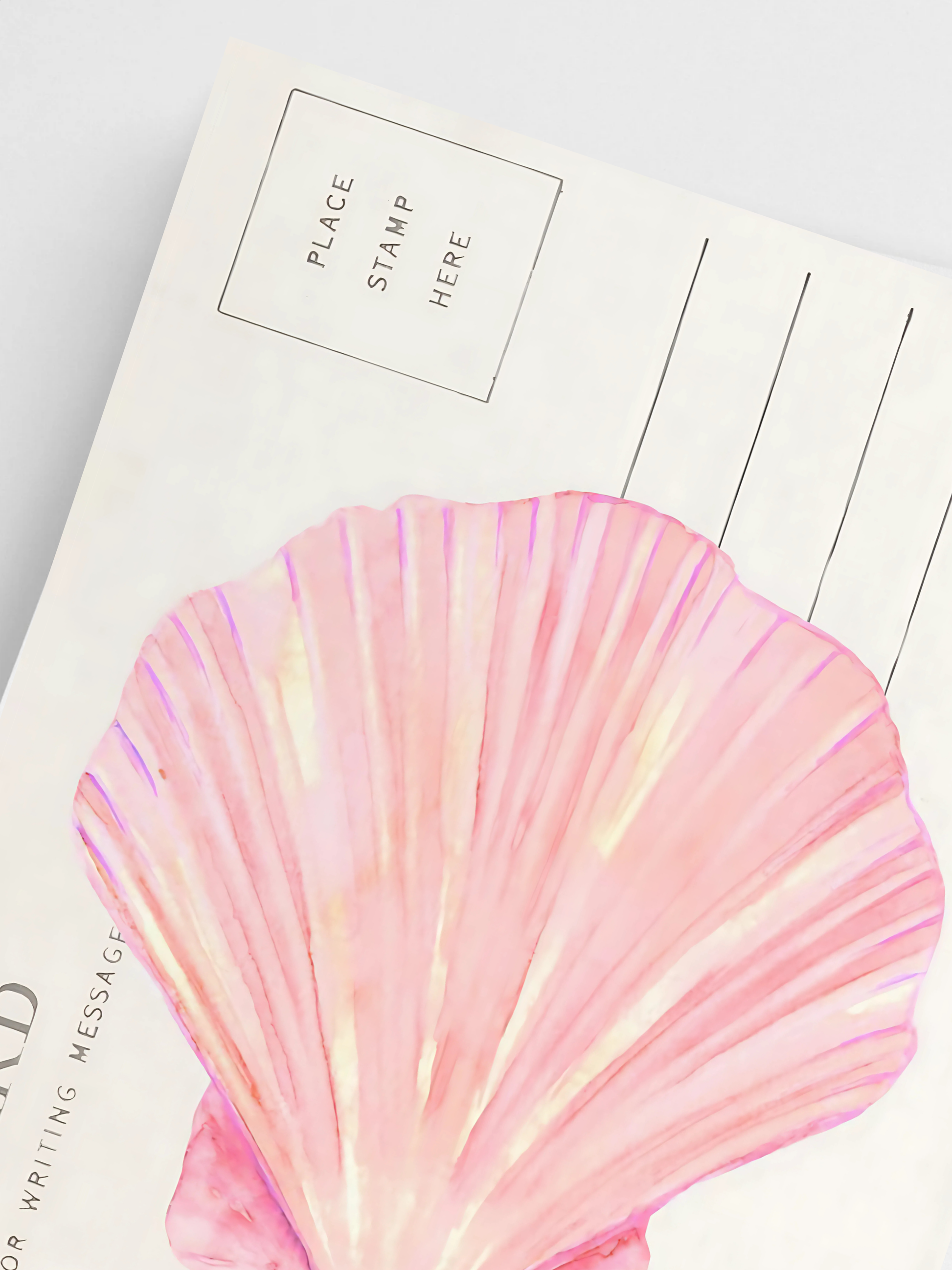 Close-up of vintage-inspired pink seashell print for coastal rooms