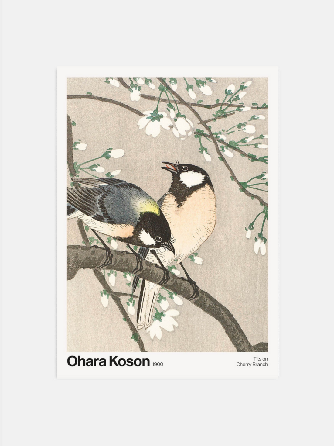 Art print of two birds on a branch with cherry blossoms, Ohara Koson. 