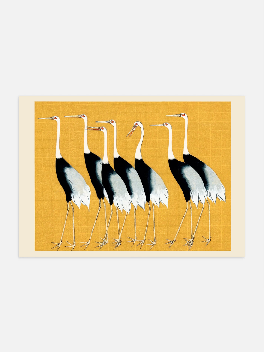 Japanese red crown cranes illustrated on a yellow background