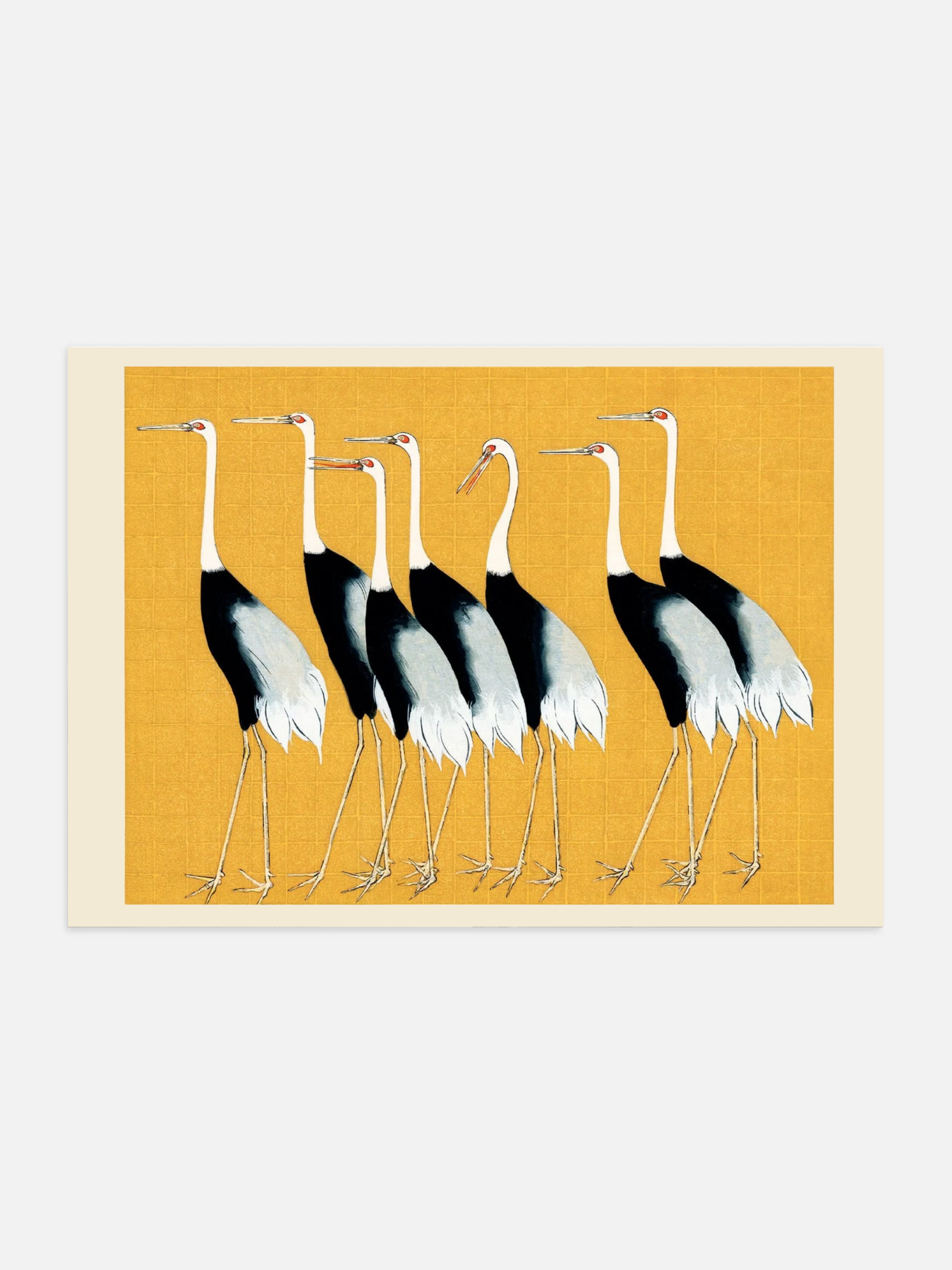 Japanese red crown cranes illustrated on a yellow background