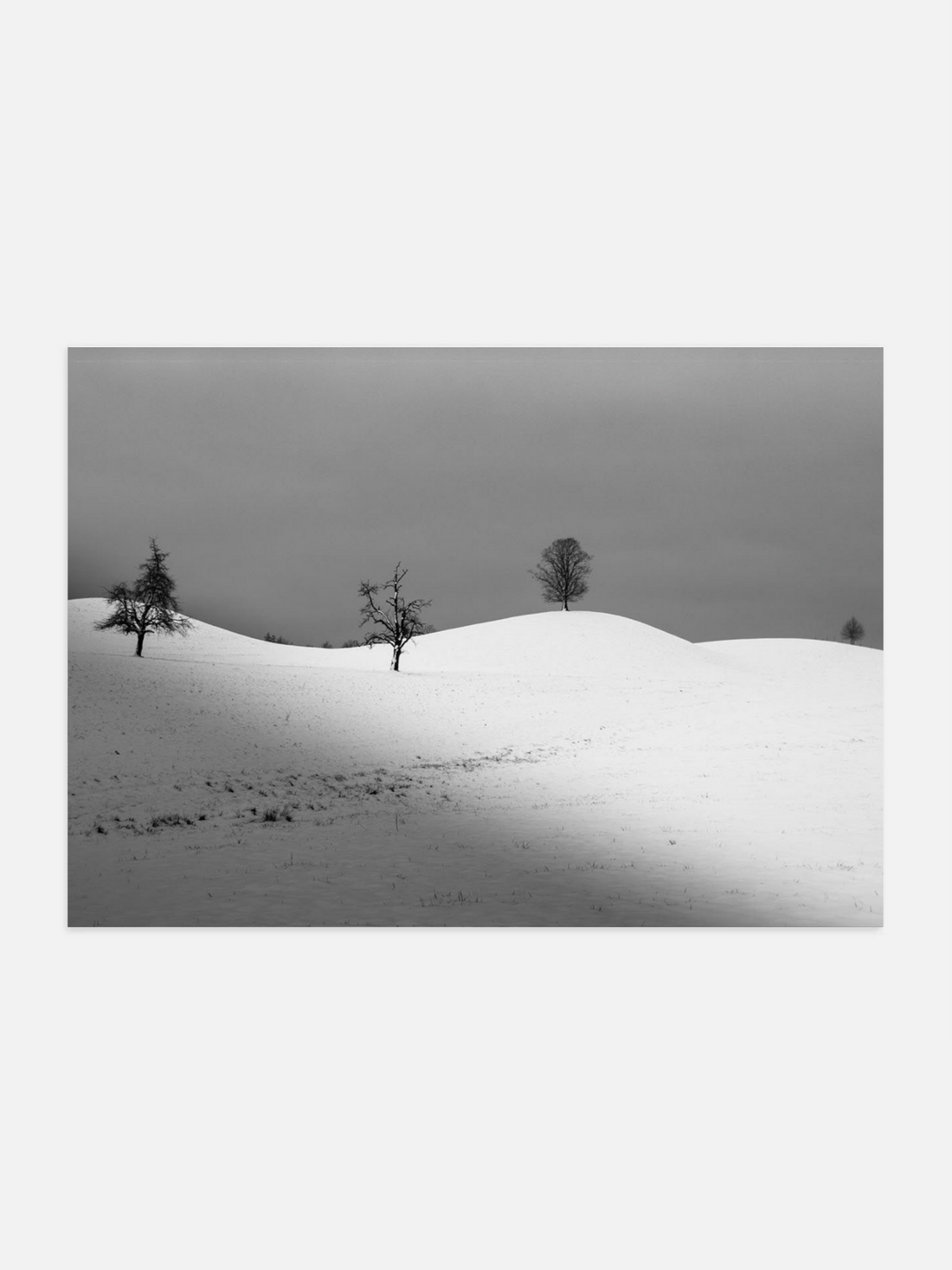 Black and white landscape with snow-covered ground and trees under a gray sky.