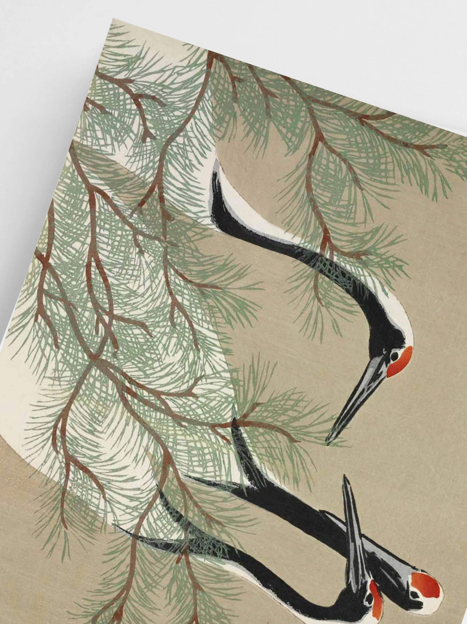 Close-Up Cranes from Momoyogusa poster 