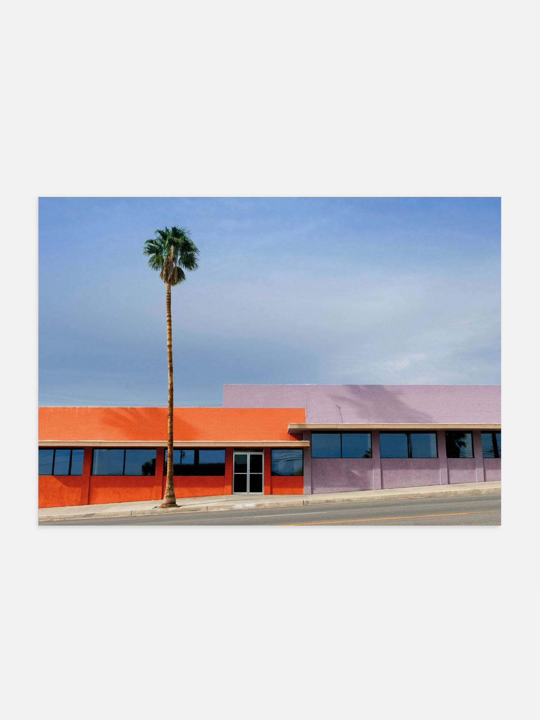 Lonely palm tree against colourful building sky