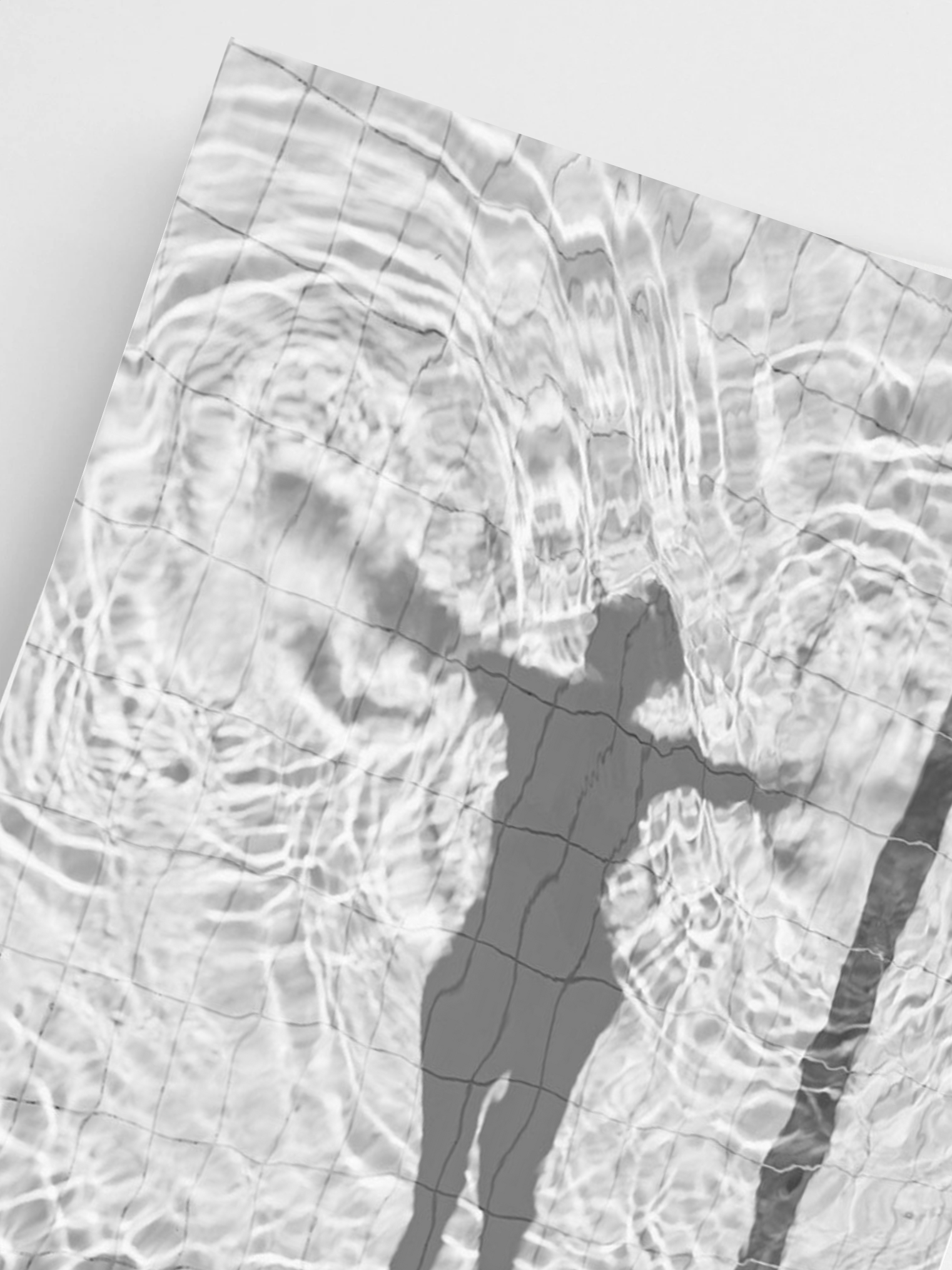 Floating Shadow poster in modern boho interior