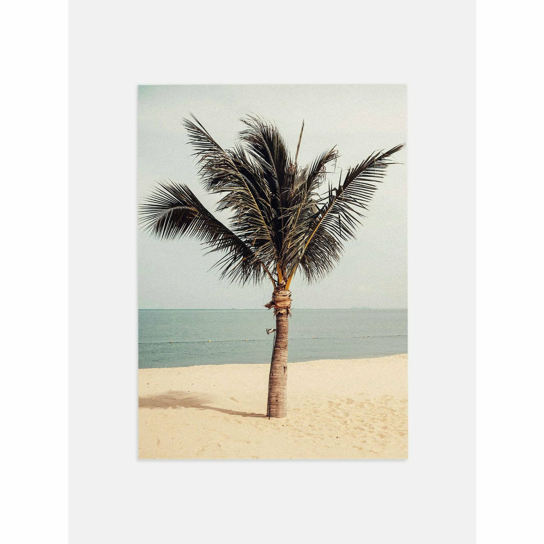 Palm Tree Office Wall Decor