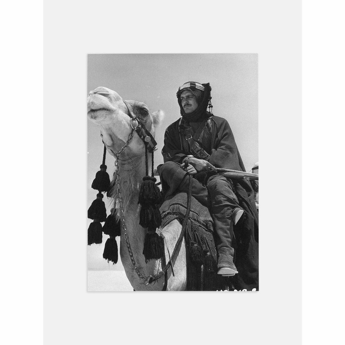 Camel Black and White Prints