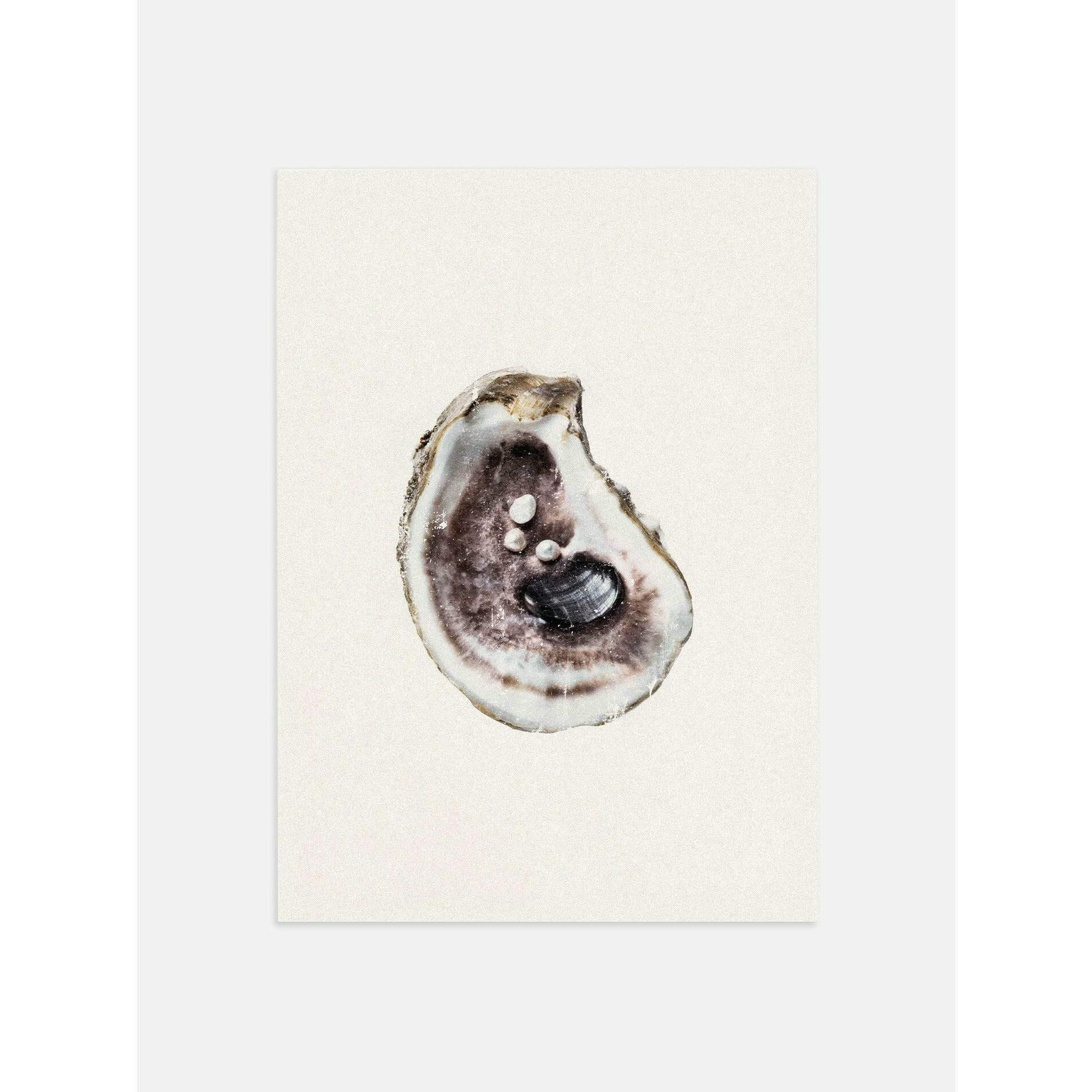 Empty Oyster Poster