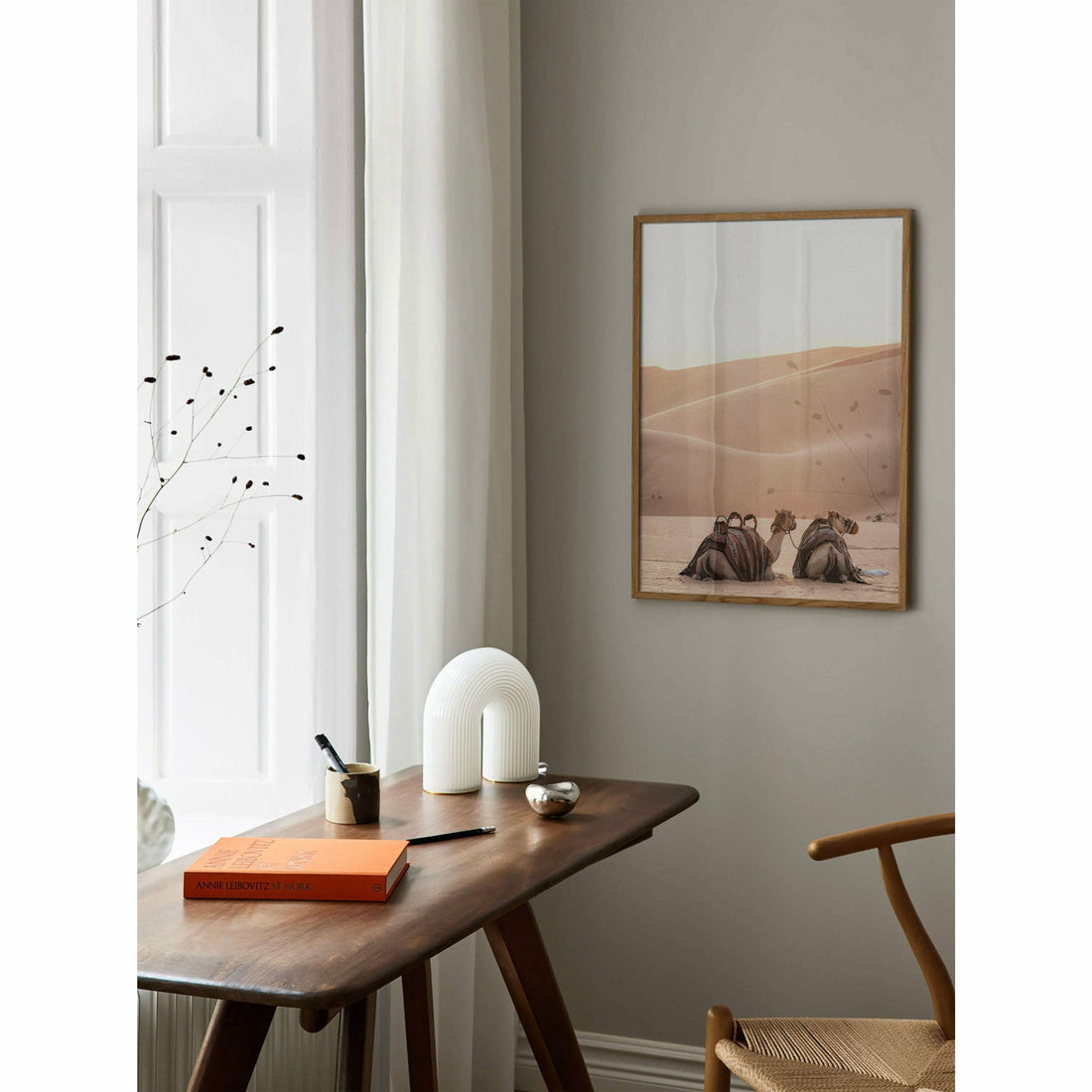 Camel Animal Wall Art