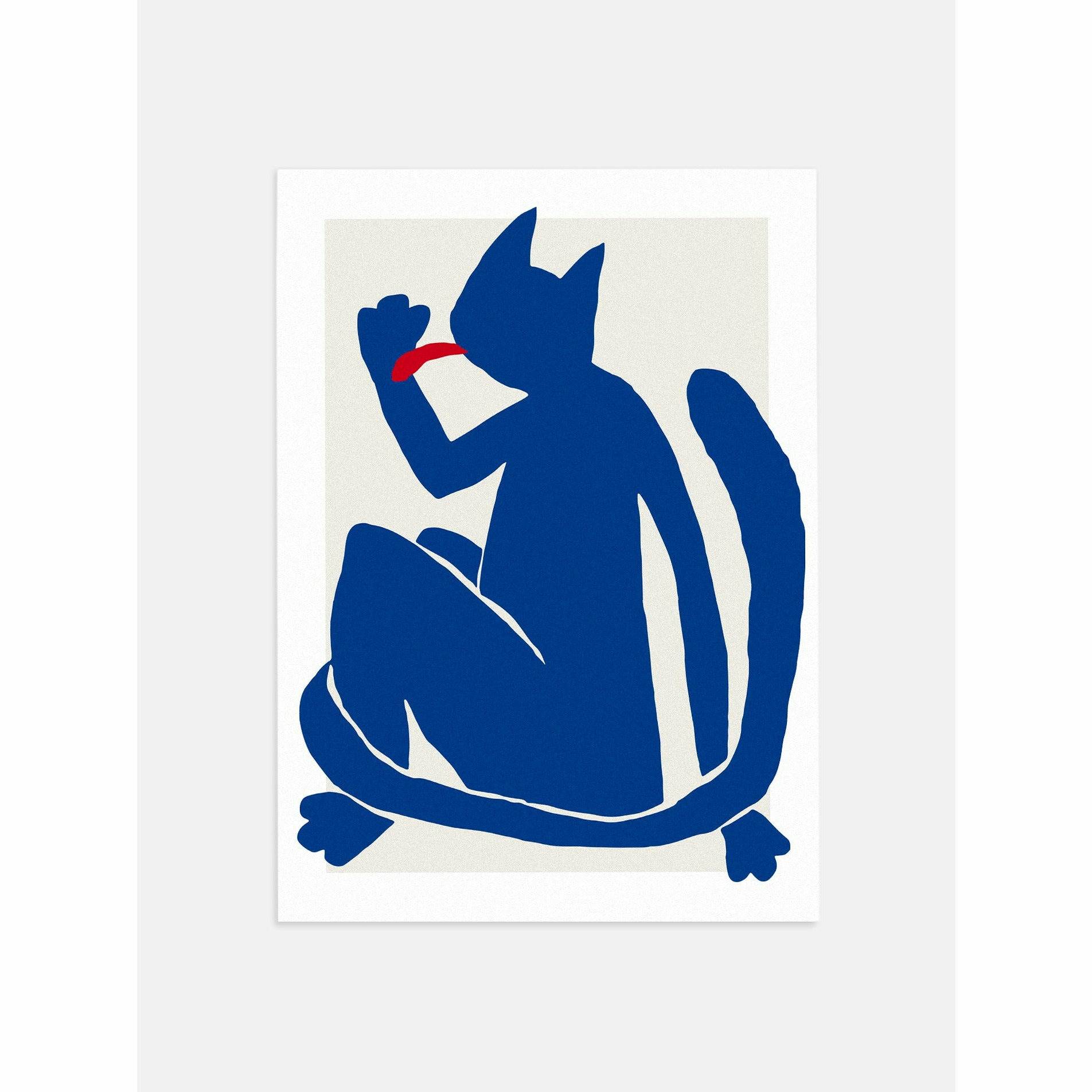 Set of Matisse