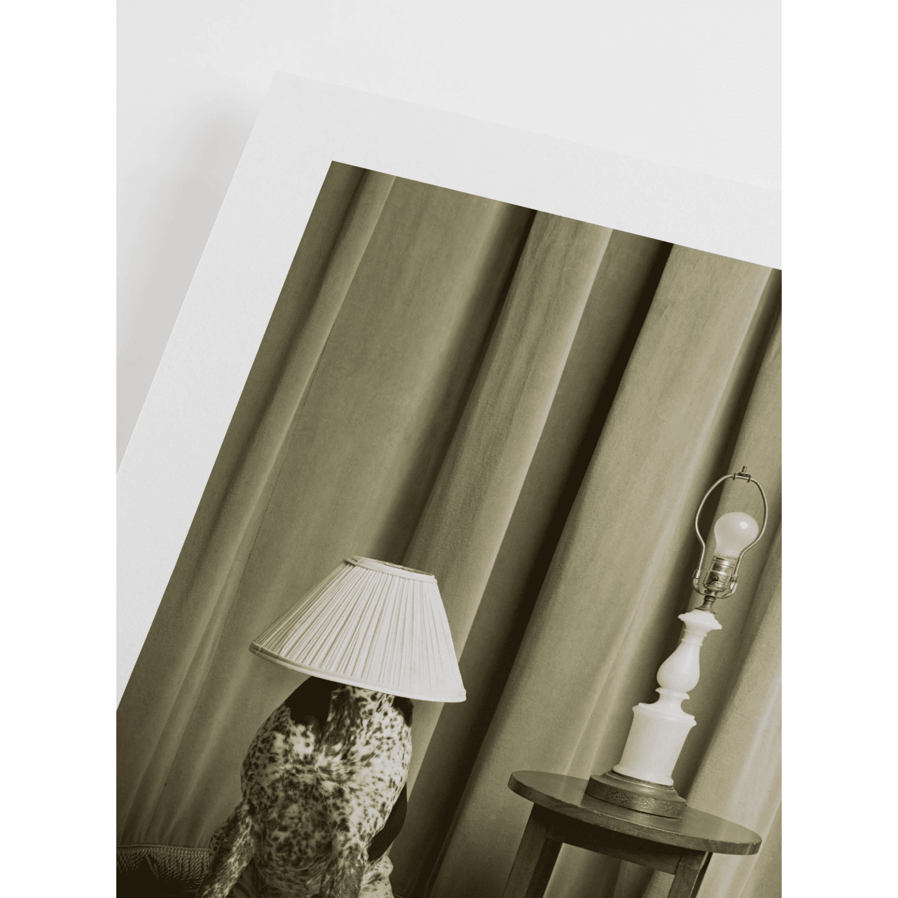 Hide and Seek Digital poster