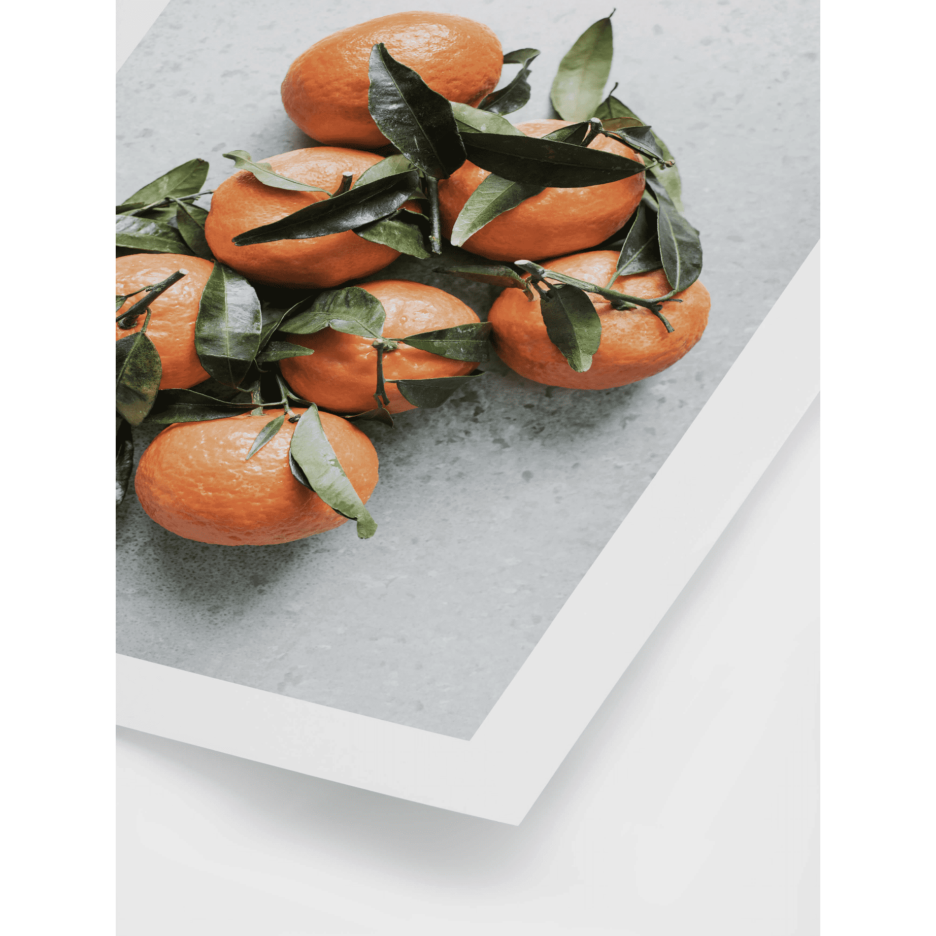 Tangerines Printable Poster