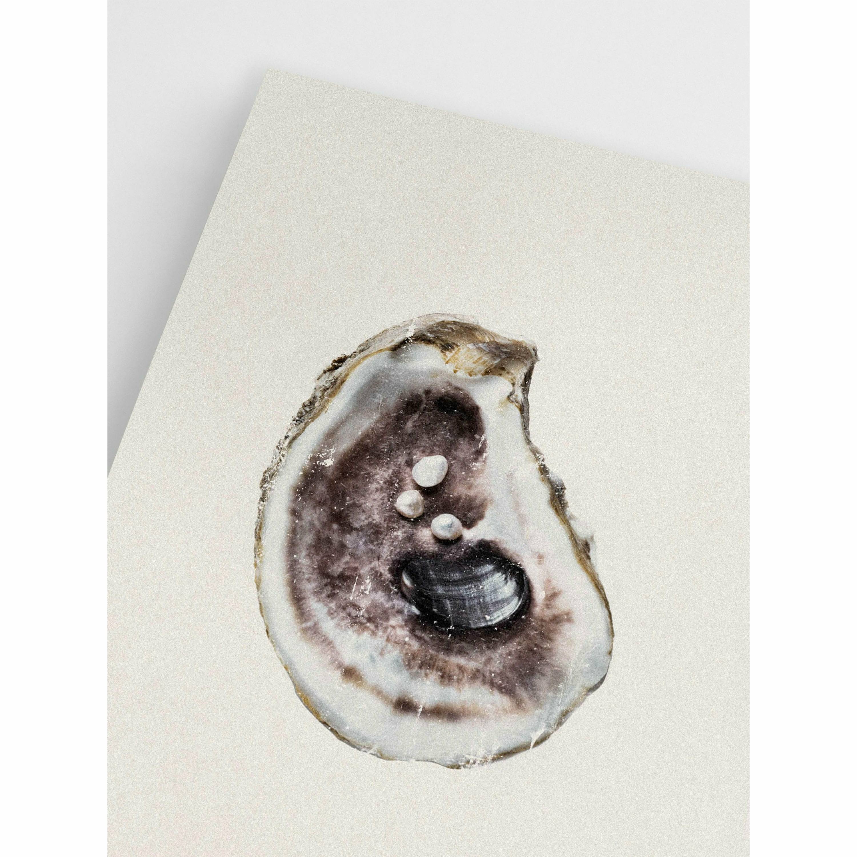Oyster Poster
