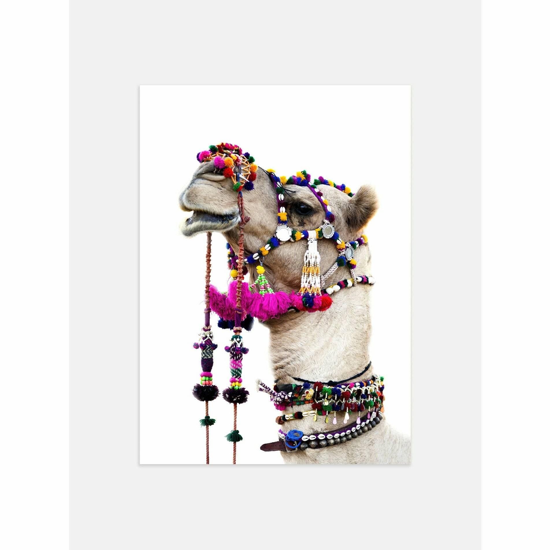 Camel head