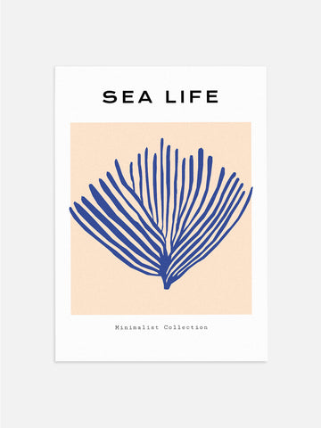 Sea Life Plant