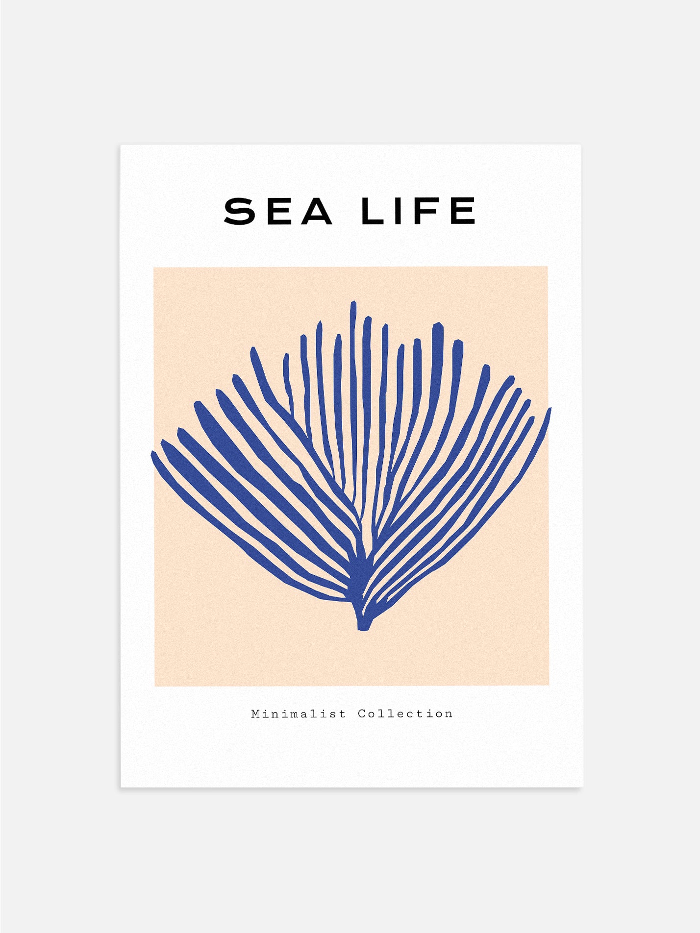 Sea Life Plant
