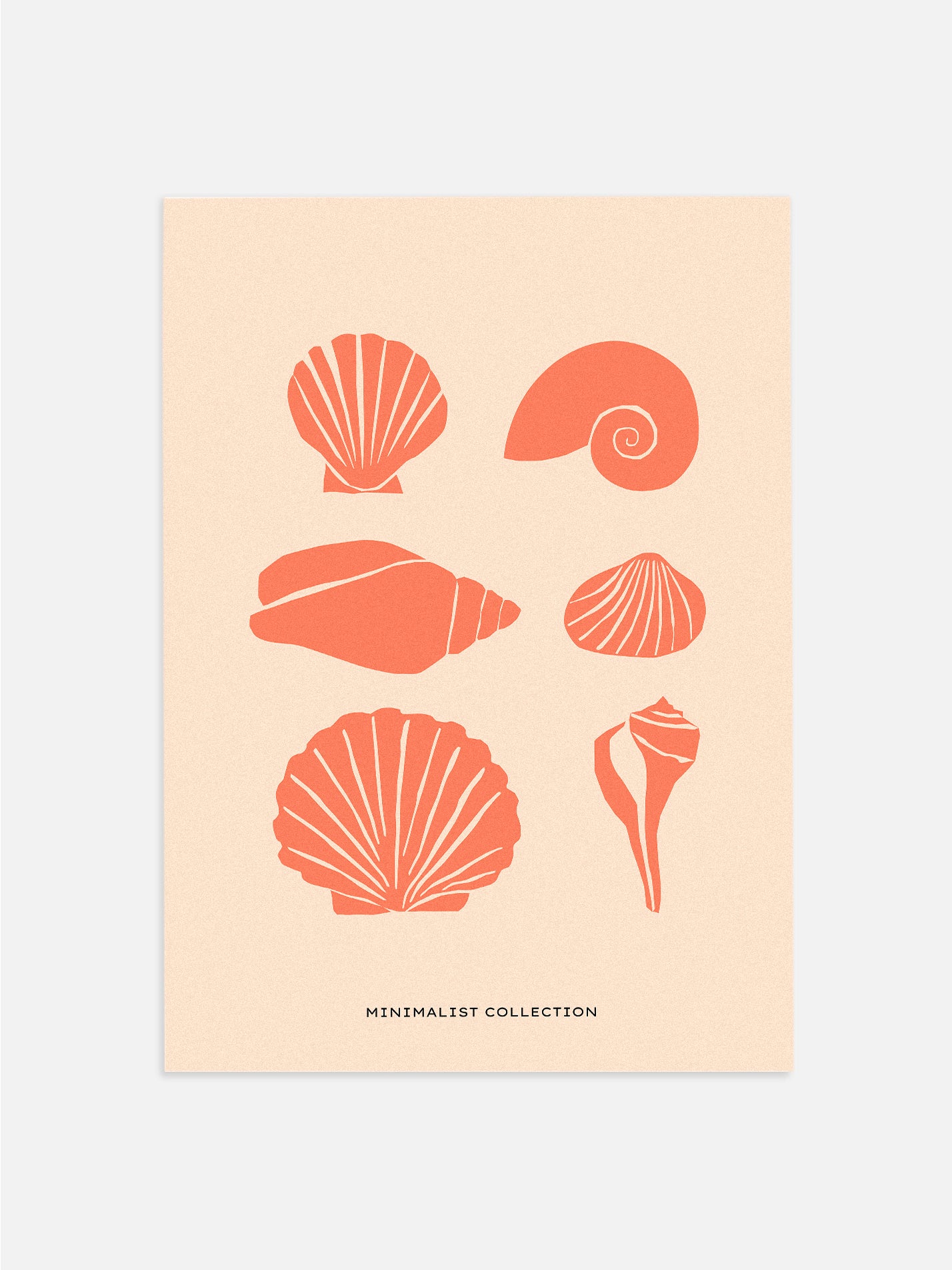Minimalist Shell Drawing