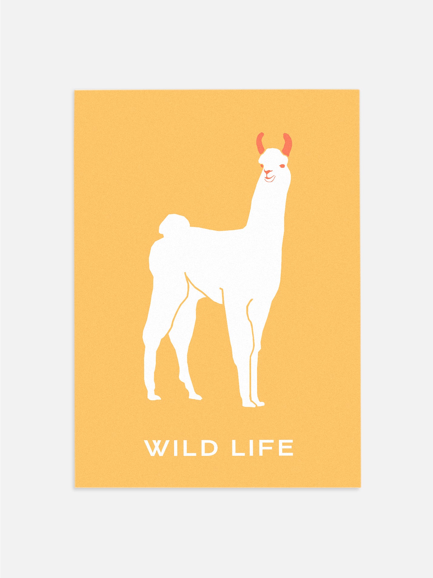 Wild Life: Alpaca