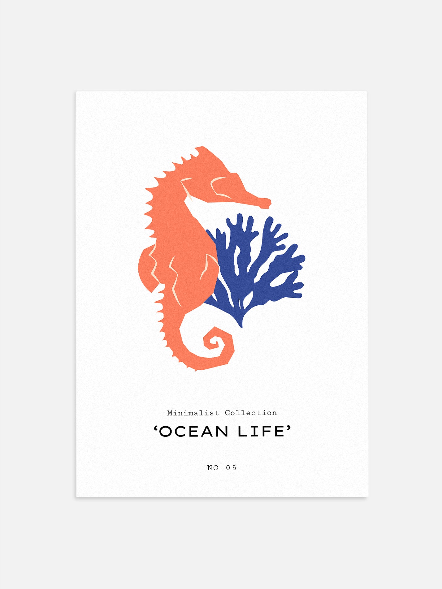 Seahorse & Coral