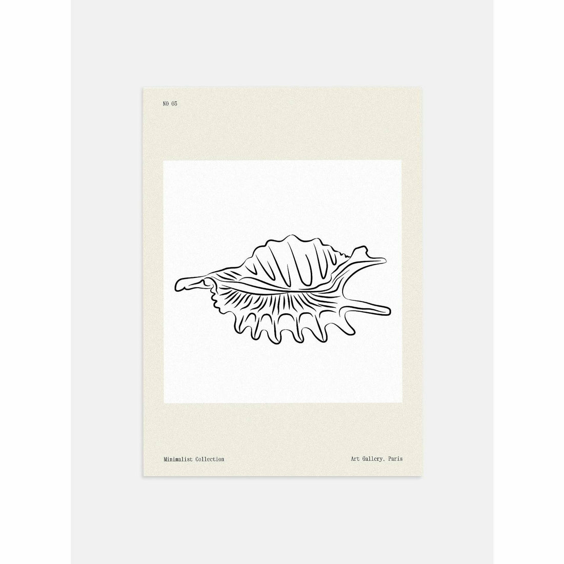 Seashell Line Drawing Poster