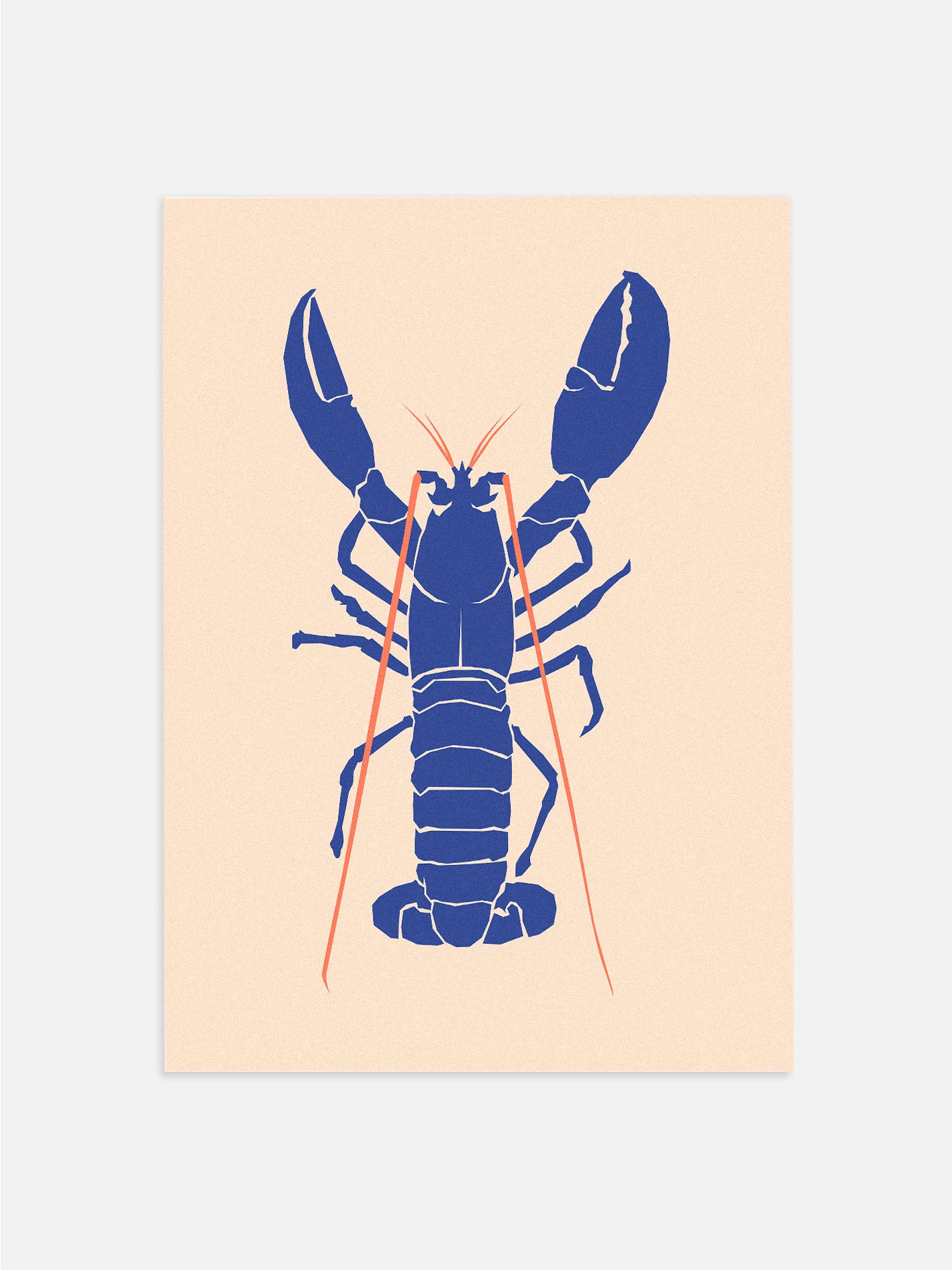 Ocean Life: Blue Lobster Poster