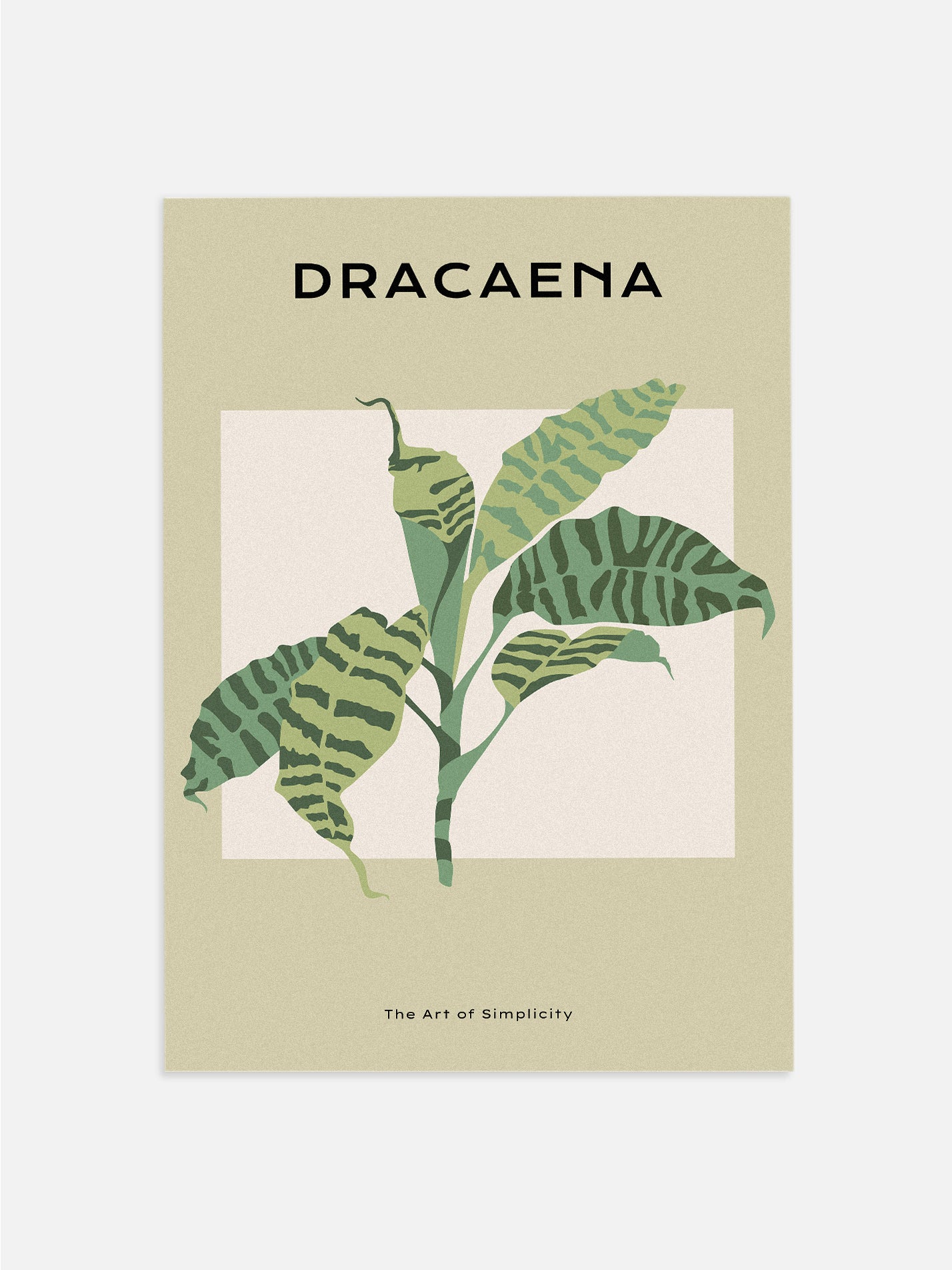 Dracaena Bedroom Artwork Poster