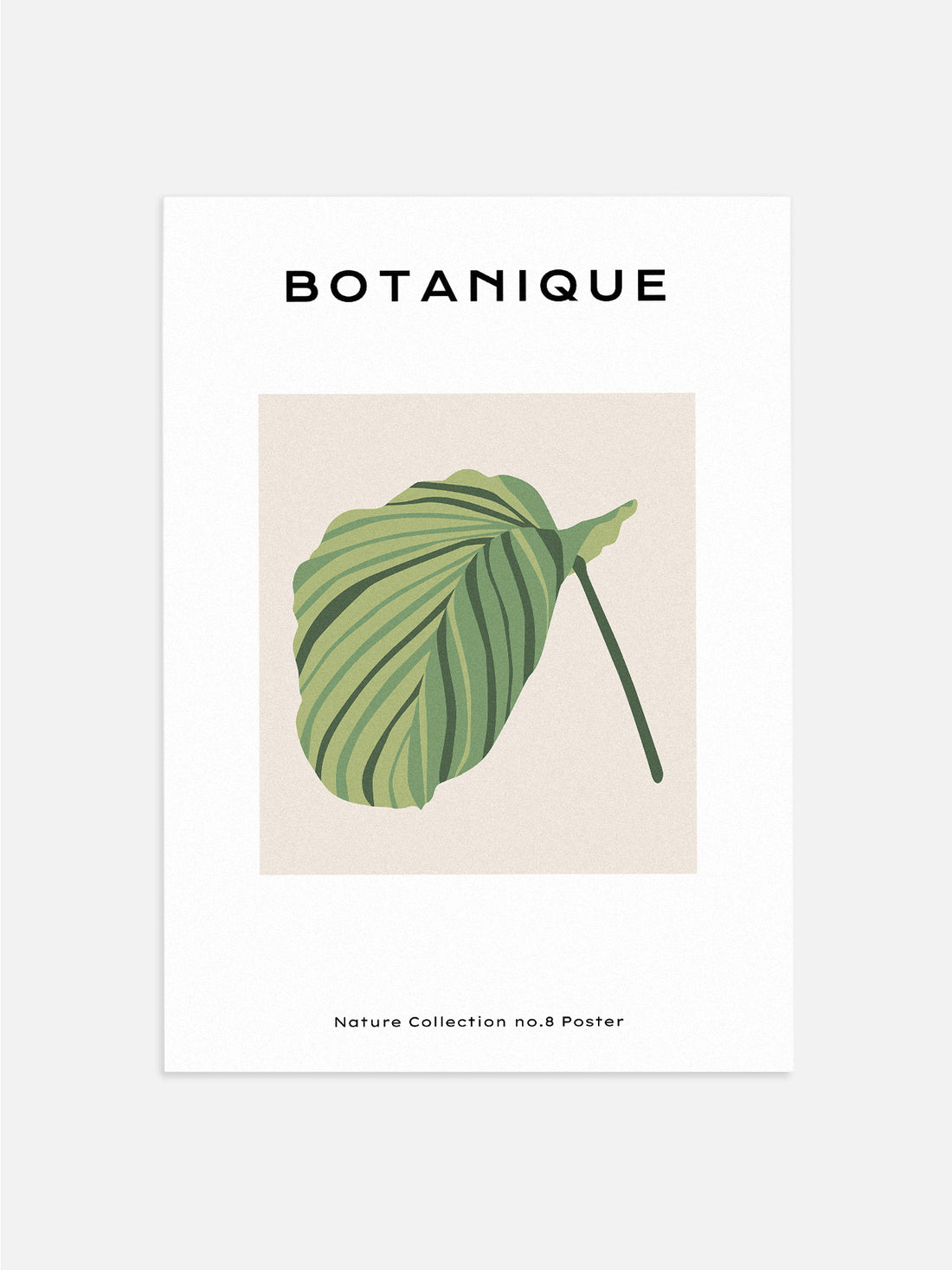 Botanical Prayer Plant