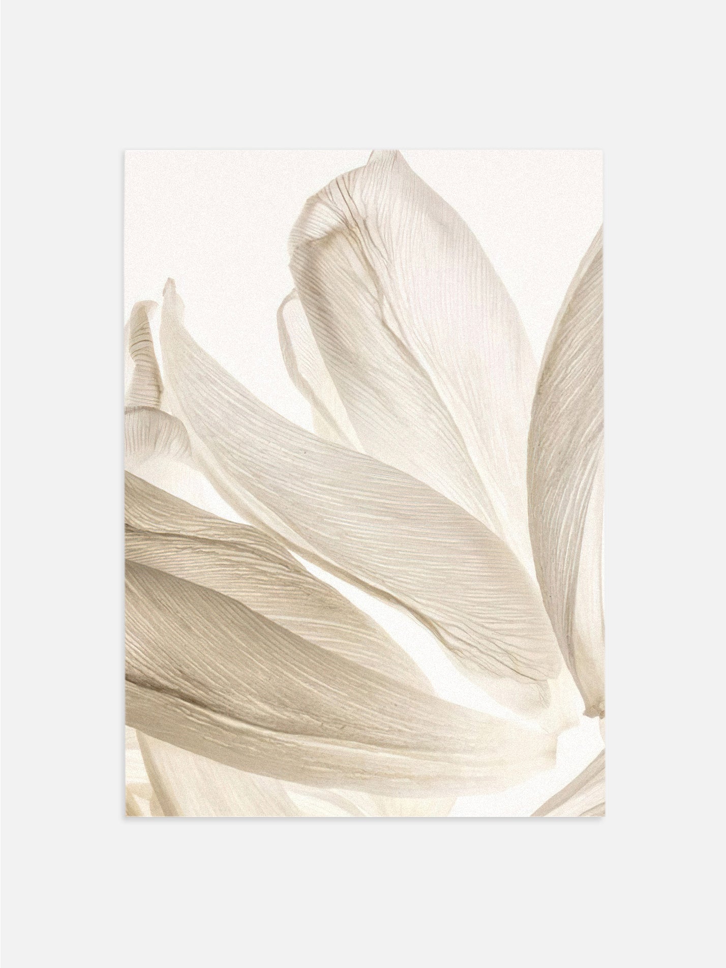 Beige Leaves