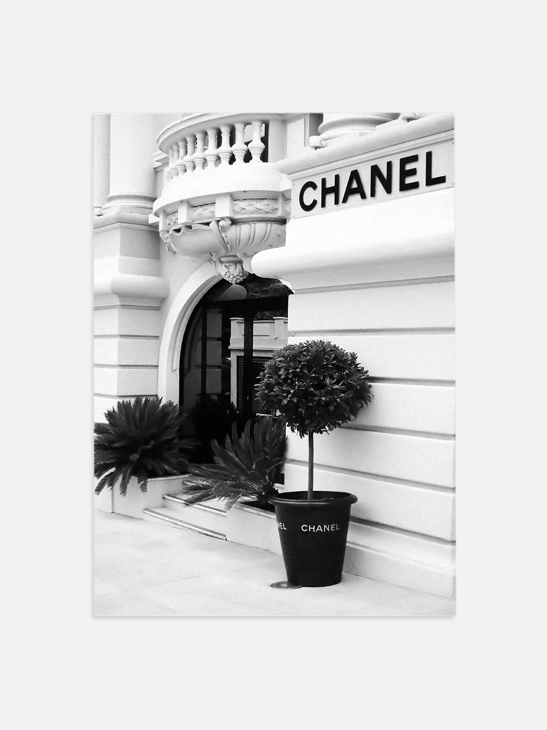 Chanel Store