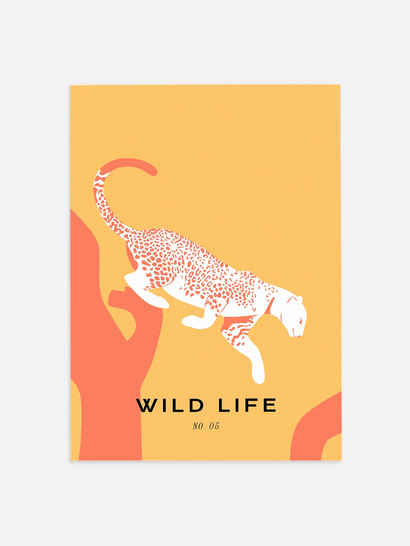 Wild Life: Cheetah