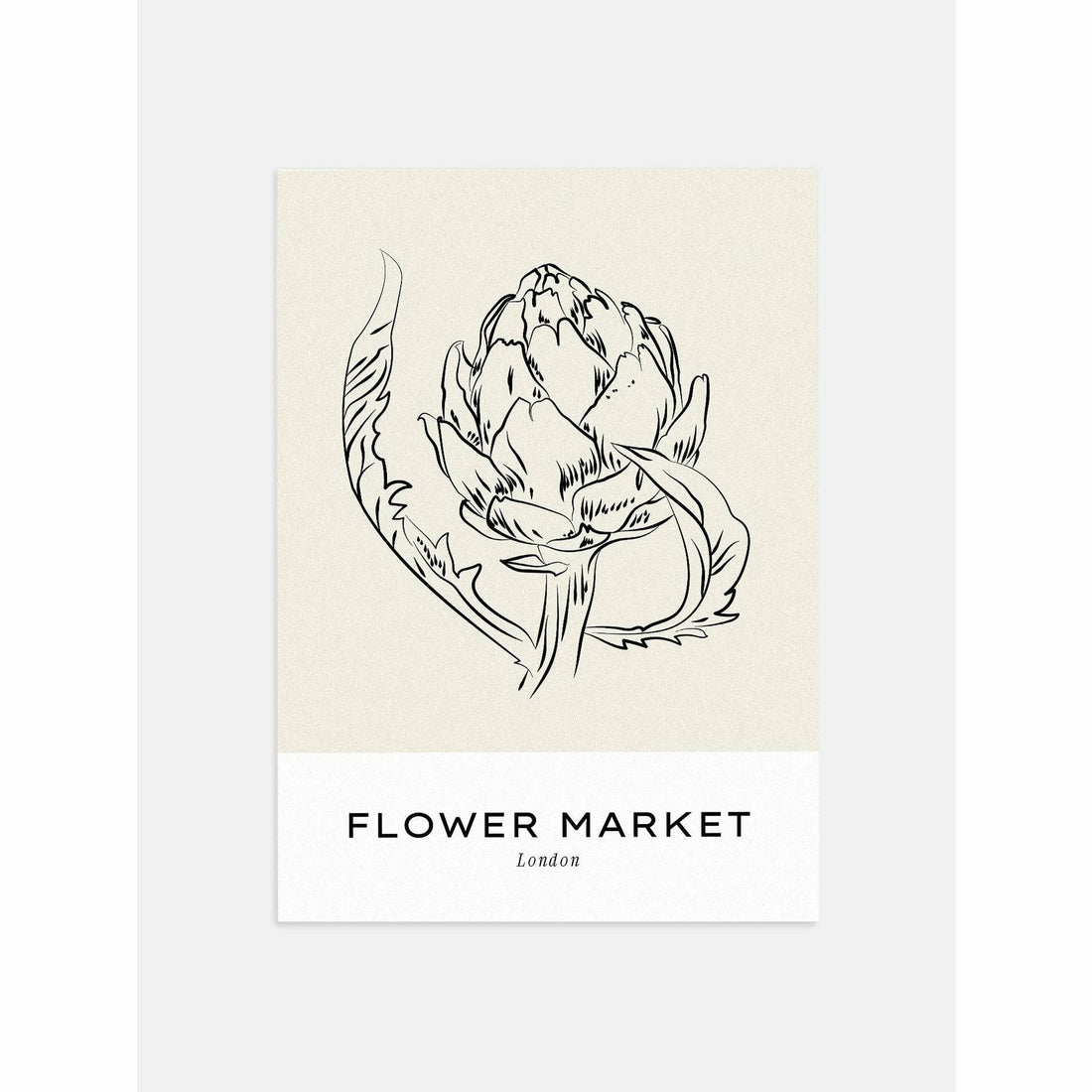 Artichoke Flower Poster